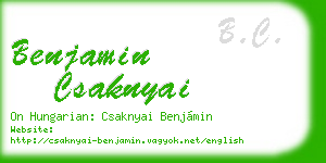 benjamin csaknyai business card